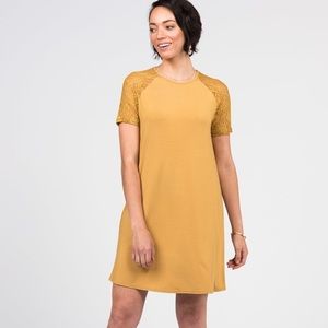 Lace Raglan Dress Deep Gold